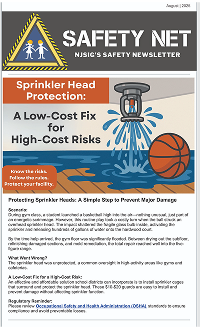 August 2025 SafetyNet Preview